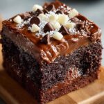 Two Protein Brownie